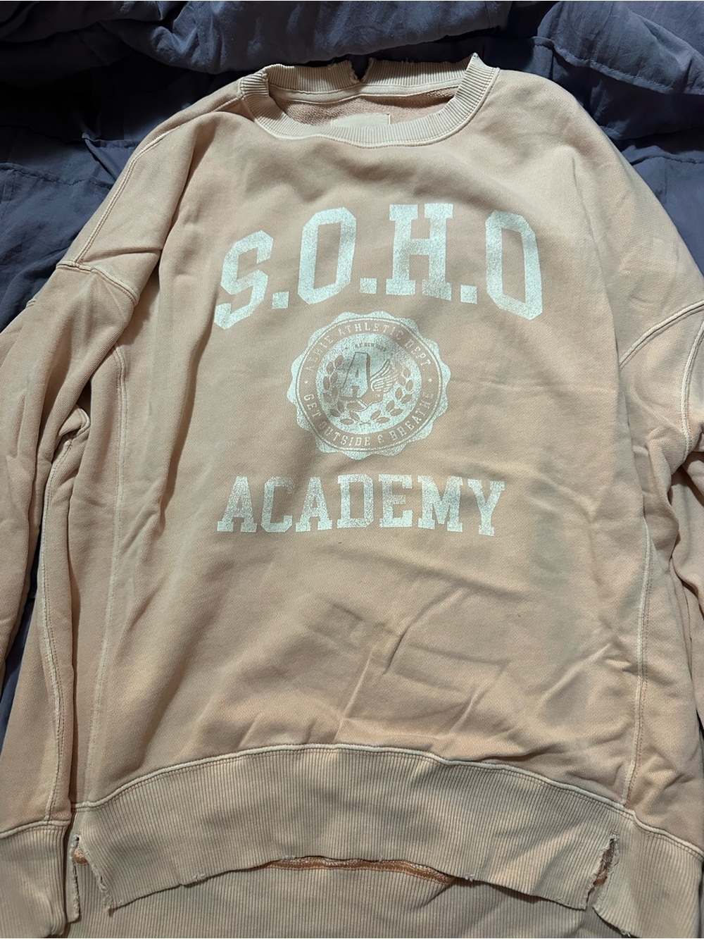 aerie Peach Crewneck with SOHO Academy Graphic - Picture 2 of 3